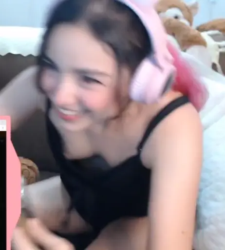 Image 23906886 from Nipslips &amp; Just Chatting streamers