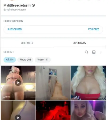 Image 23906871 from Nipslips &amp; Just Chatting streamers