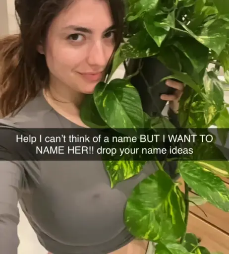 Image 23909581 from Rachel Levin / RclBeauty101