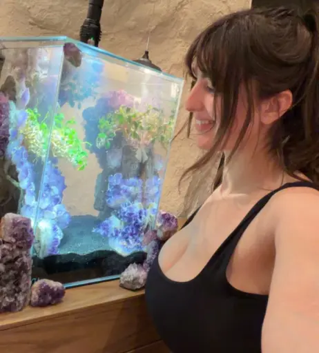 Image 23909754 from Rachel Levin / RclBeauty101