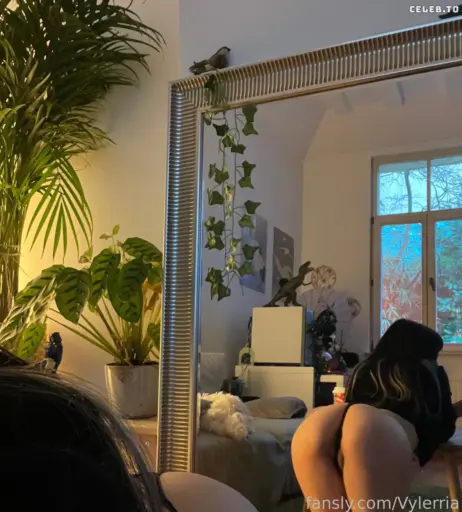 Image 2398004 from Vylerria