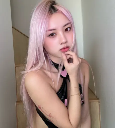 Image 23875229 from Vyvan Le