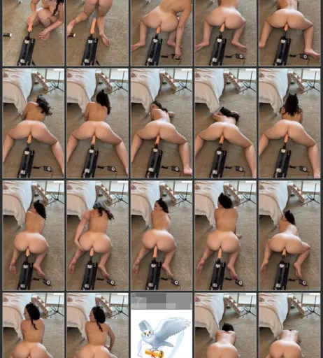 Image 2383352 from Haley’s Hazey