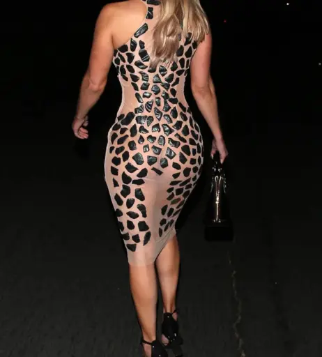 Image 23839570 from WWE Lana / CJ Perry
