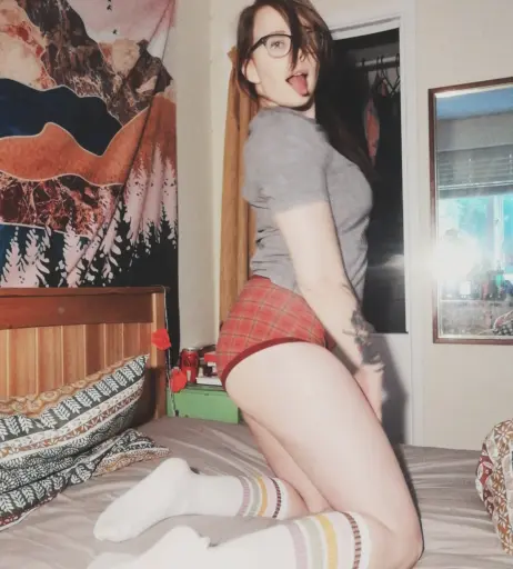 Image 23885933 from Alice Cotton Sox