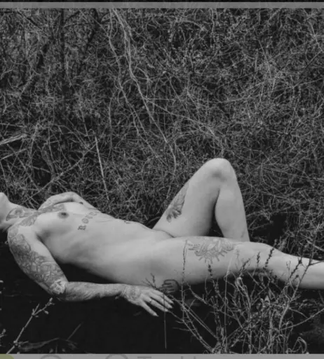 Image 2371094 from Eule-in-Paradise