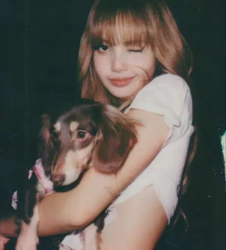 Image 23658022 from Lisa | BLΛƆKPIИK (Blackpink)