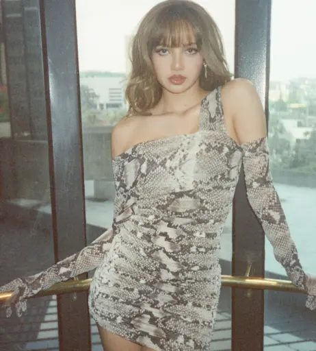Image 23657211 from Lisa | BLΛƆKPIИK (Blackpink)