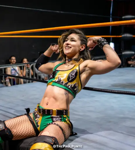 Image 23668919 from Women of Professional Wrestling