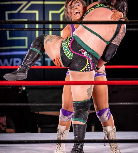 Image 23668821 from Women of Professional Wrestling