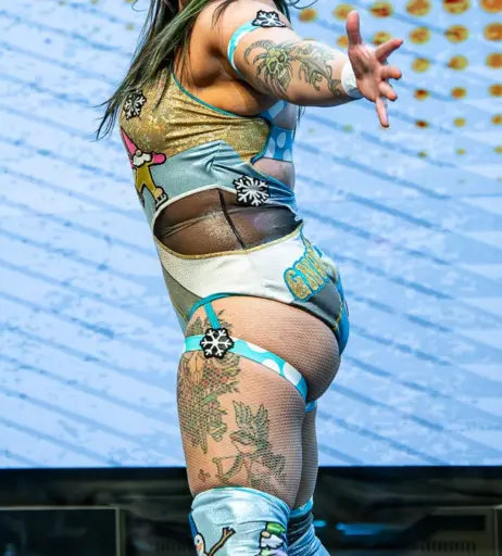 Image 23668815 from Women of Professional Wrestling