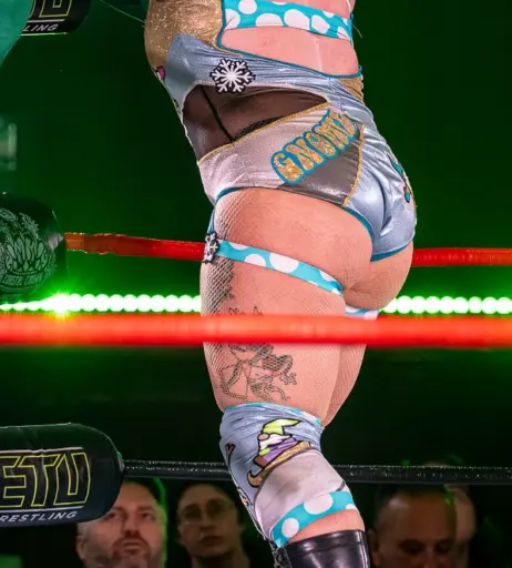 Image 23668814 from Women of Professional Wrestling