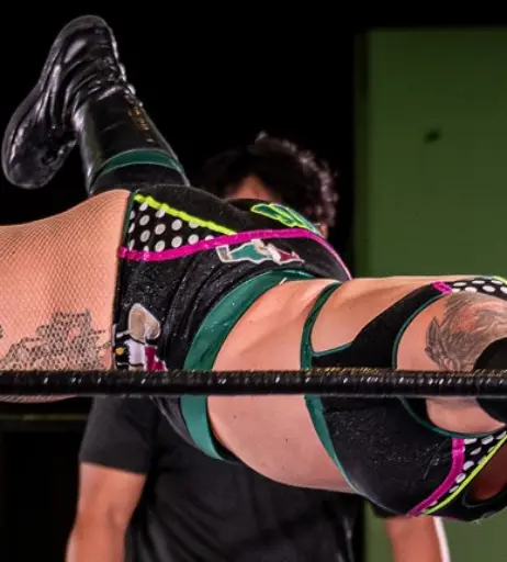 Image 23668818 from Women of Professional Wrestling
