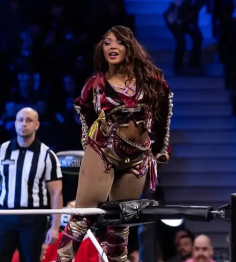 Image 23668574 from Women of Professional Wrestling