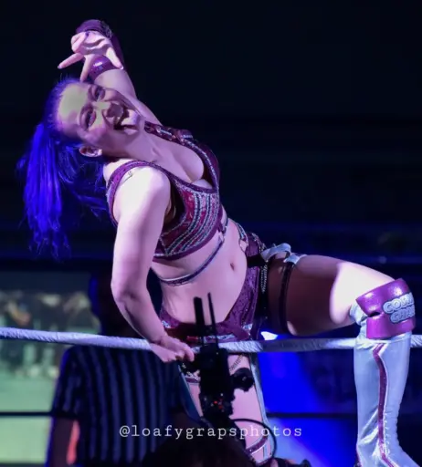 Image 23668422 from Women of Professional Wrestling