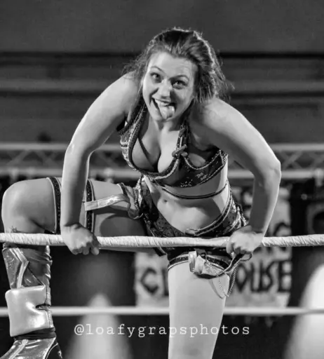 Image 23668421 from Women of Professional Wrestling