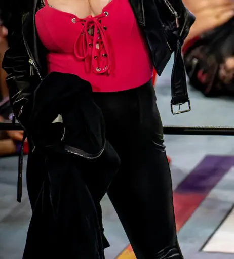 Image 23668791 from Women of Professional Wrestling
