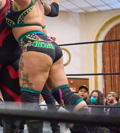 Image 23668685 from Women of Professional Wrestling