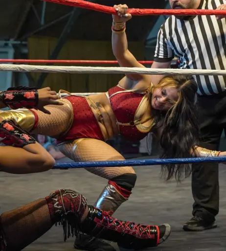 Image 23668652 from Women of Professional Wrestling