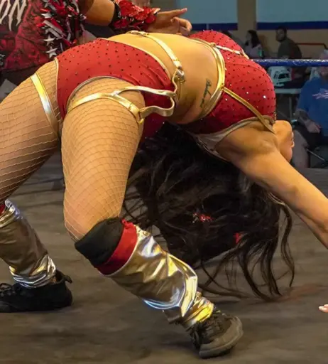 Image 23668651 from Women of Professional Wrestling
