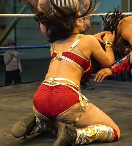 Image 23668650 from Women of Professional Wrestling