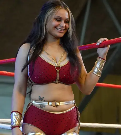 Image 23668656 from Women of Professional Wrestling