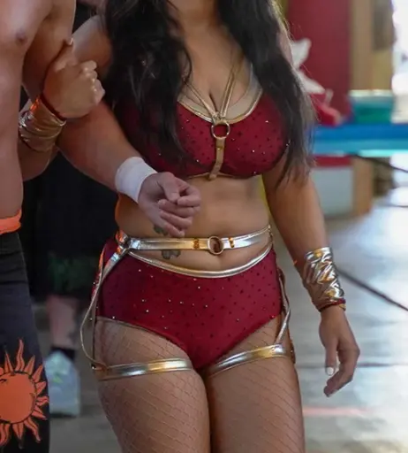 Image 23668641 from Women of Professional Wrestling