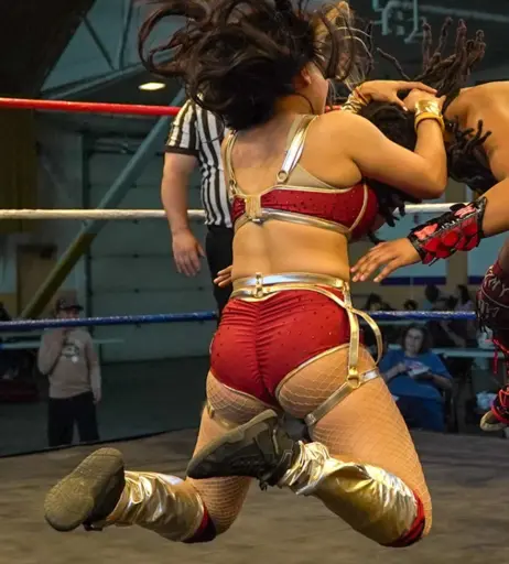 Image 23668648 from Women of Professional Wrestling
