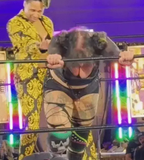 Image 23668673 from Women of Professional Wrestling