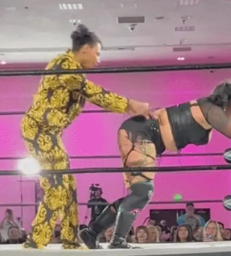 Image 23668672 from Women of Professional Wrestling