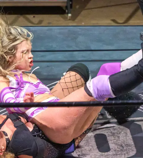 Image 23668123 from Women of Professional Wrestling