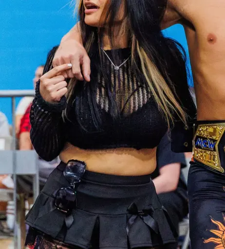 Image 23668127 from Women of Professional Wrestling