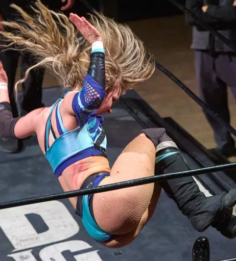 Image 23668112 from Women of Professional Wrestling
