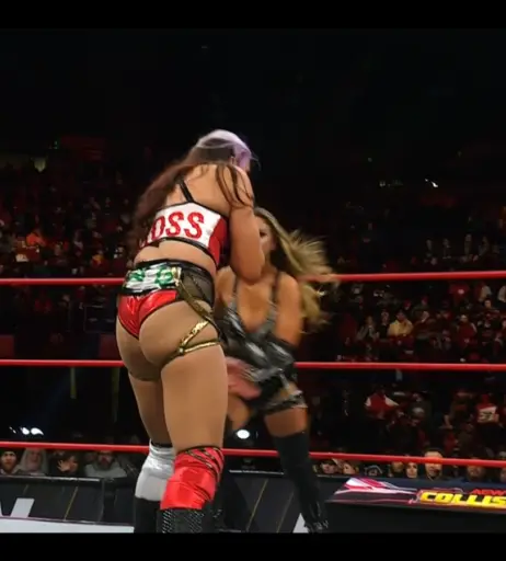 Image 23668100 from Women of Professional Wrestling