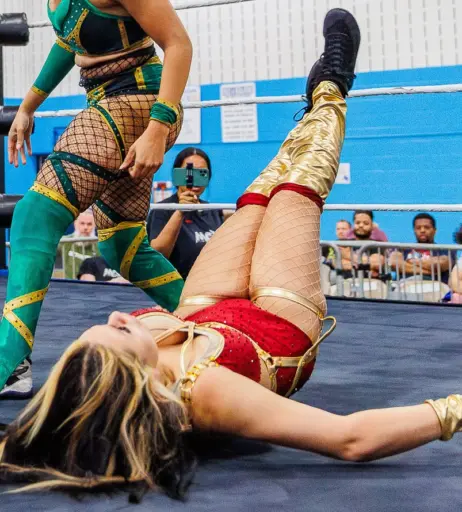 Image 23668133 from Women of Professional Wrestling