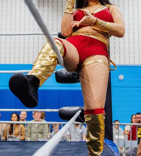Image 23668131 from Women of Professional Wrestling