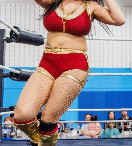 Image 23668134 from Women of Professional Wrestling