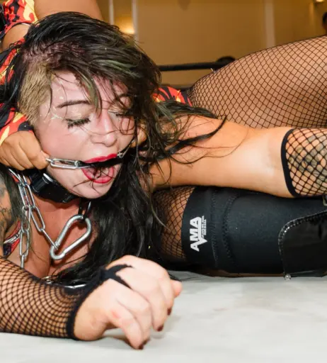 Image 23668013 from Women of Professional Wrestling
