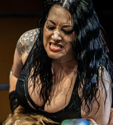 Image 23668002 from Women of Professional Wrestling