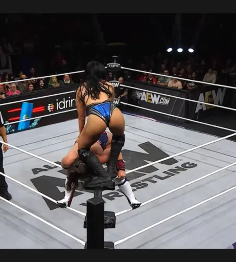 Image 23668006 from Women of Professional Wrestling