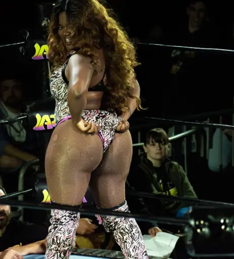 Image 23668034 from Women of Professional Wrestling