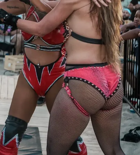 Image 23668062 from Women of Professional Wrestling