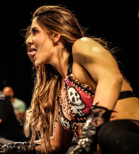 Image 23668066 from Women of Professional Wrestling