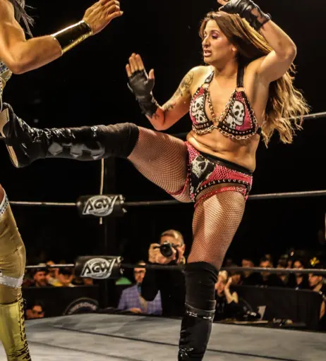 Image 23668069 from Women of Professional Wrestling