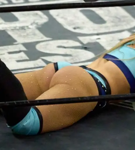 Image 23668280 from Women of Professional Wrestling
