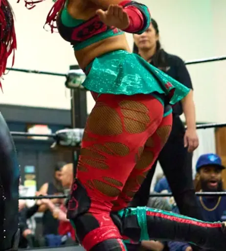 Image 23668263 from Women of Professional Wrestling