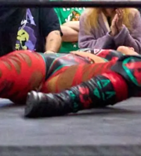 Image 23668262 from Women of Professional Wrestling