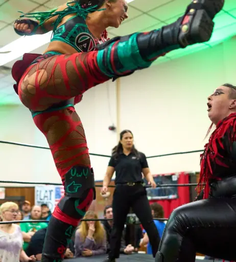 Image 23668267 from Women of Professional Wrestling