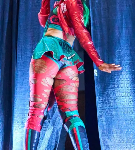 Image 23668265 from Women of Professional Wrestling