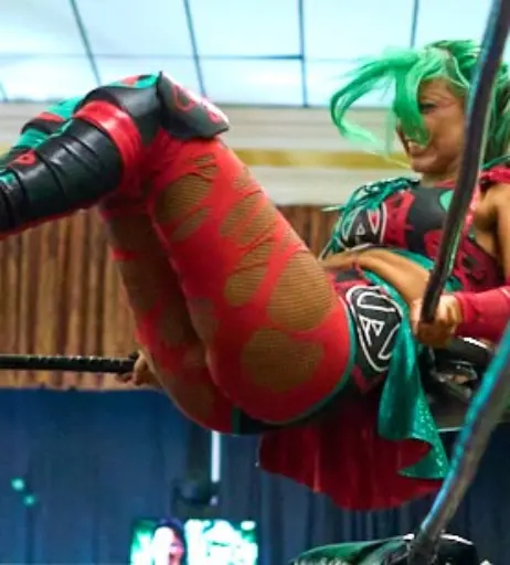 Image 23668264 from Women of Professional Wrestling